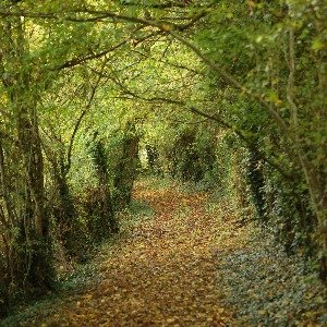 Image de l'événement