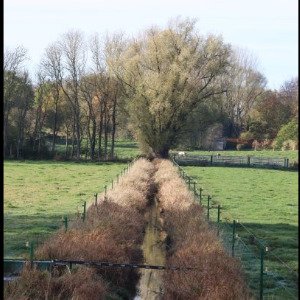 Image de l'événement