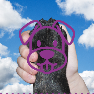 Image de l'événement