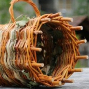 Image de l'événement