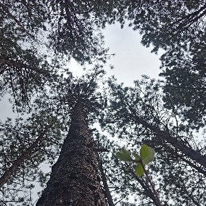 Image de l'événement