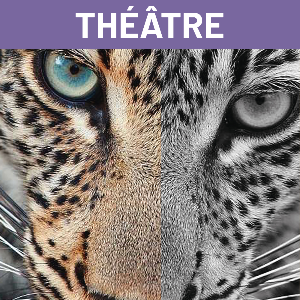 Image de l'événement