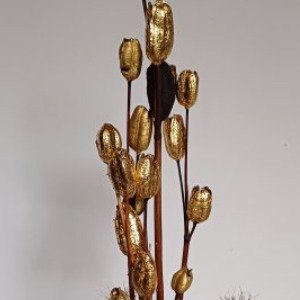 Image de l'événement