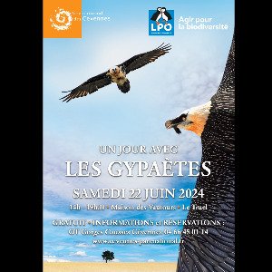 Image de l'événement