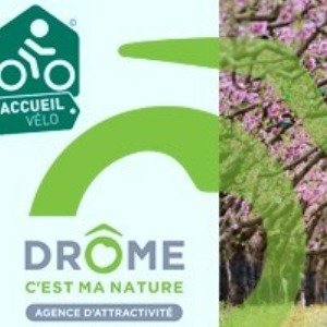 Image de l'événement